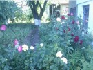 Двуетажна къща в отлично състояние сКаменар Варненска област