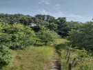 ПРОДАДЕН!Парцел с вила в м-ст Боровец юг , Кантара 