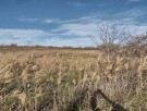 Plot for houses with a sea view, Patrabana, Varna