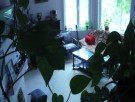 ПРОДАДЕН!Две къщи в кв. Виница